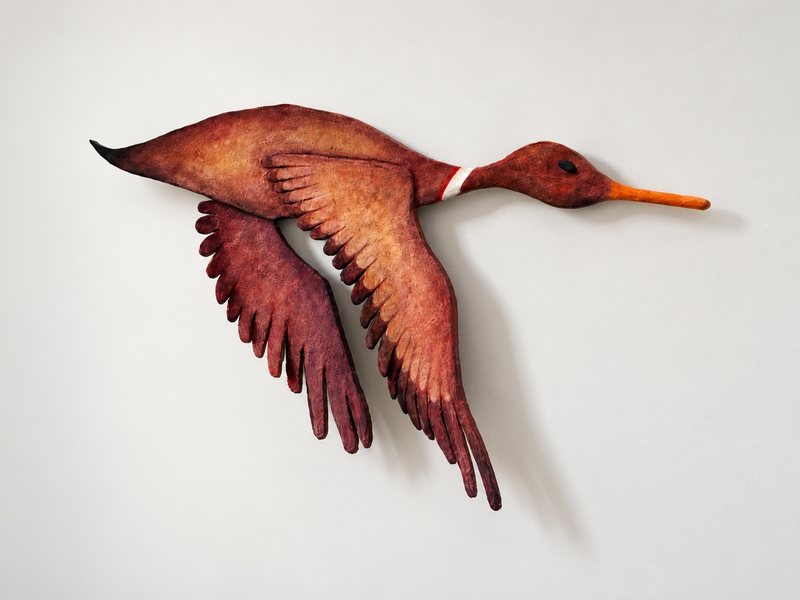 Study of Flight: pássaro vermelho e terroso em voo.